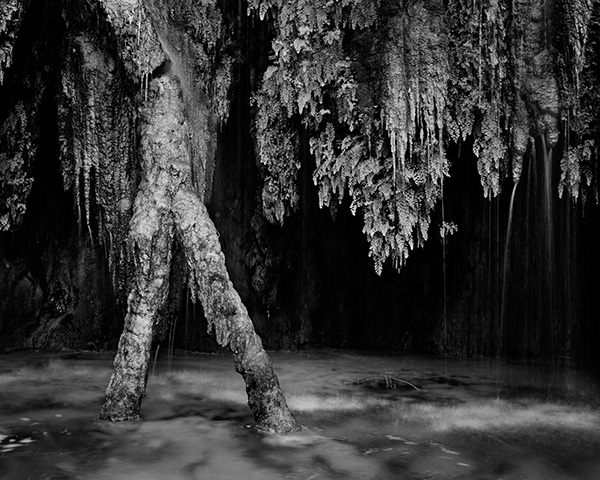Travis Lovell - Photographer