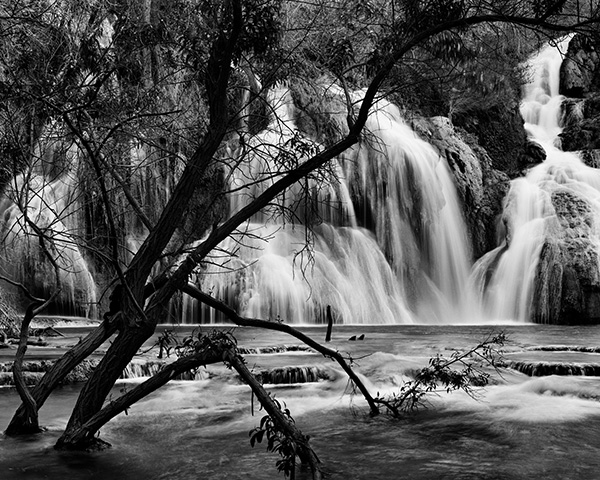 Travis Lovell - Photographer