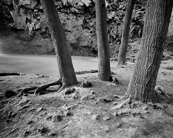 Travis Lovell - Photographer