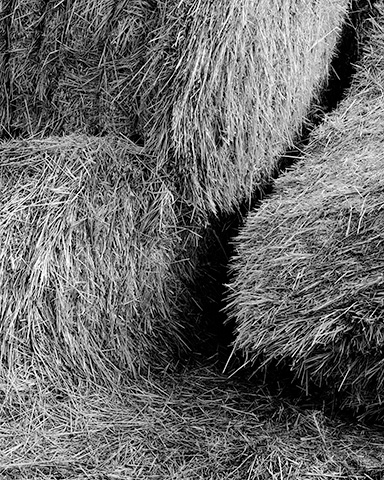 Travis Lovell - Photographer