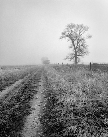 Travis Lovell - Photographer