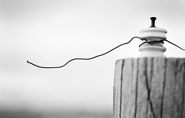 Travis Lovell - Photographer