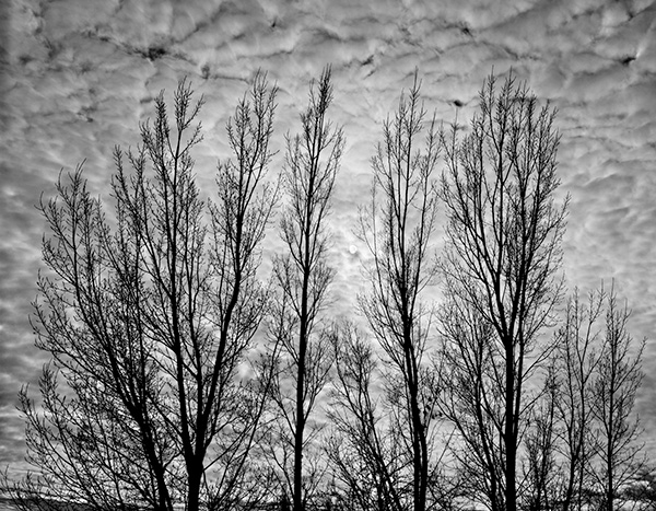 Travis Lovell - Photographer