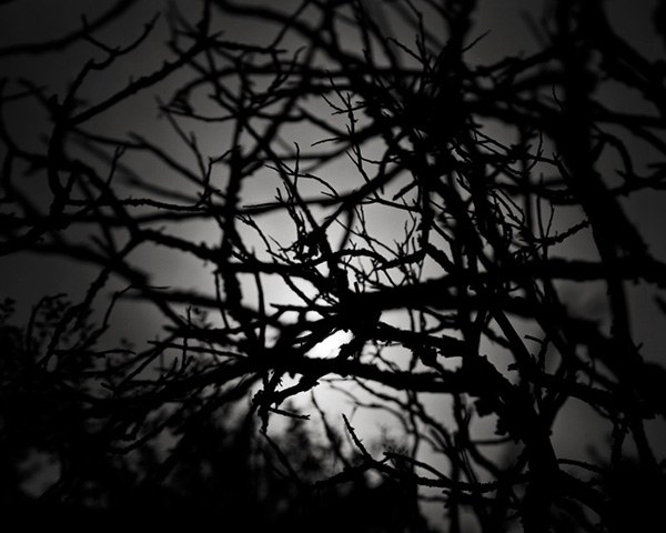 Staring into the Dark of Day