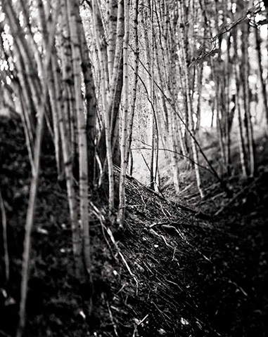 Off Path