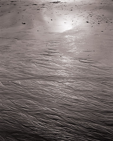 Travis Lovell - Photographer
