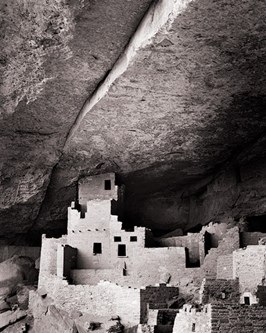 Travis Lovell - Photographer