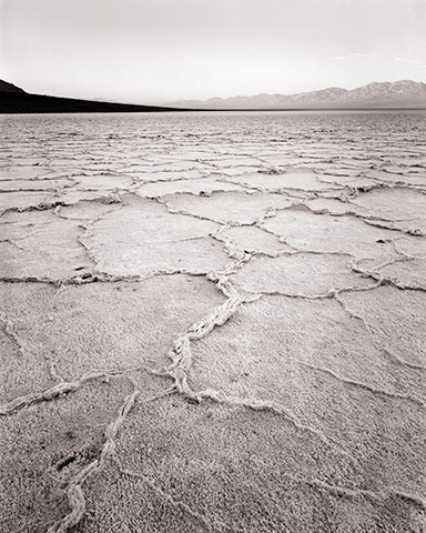 Travis Lovell - Photographer