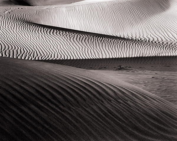 Travis Lovell - Photographer