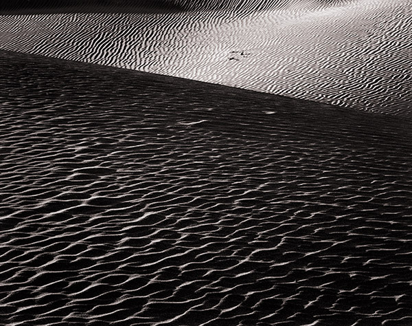 Travis Lovell - Photographer