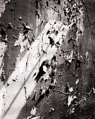 Travis Lovell - Photographer