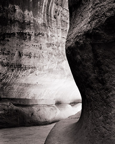 Travis Lovell - Photographer