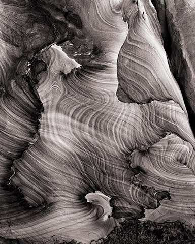 Travis Lovell - Photographer