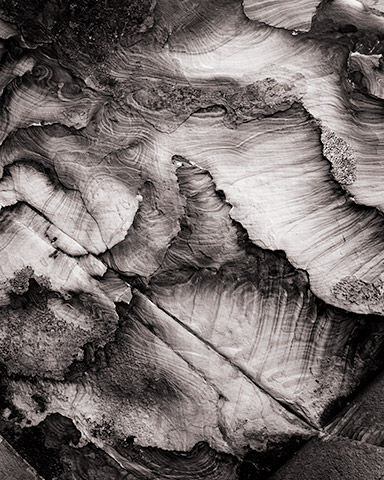 Travis Lovell - Photographer