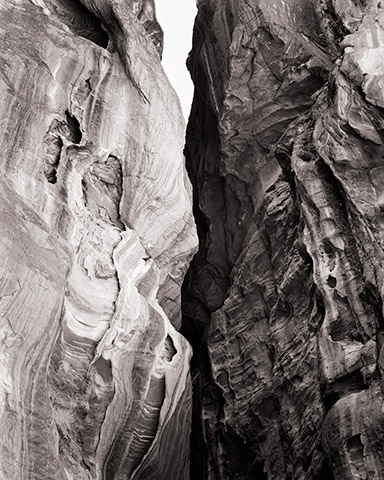 Travis Lovell - Photographer