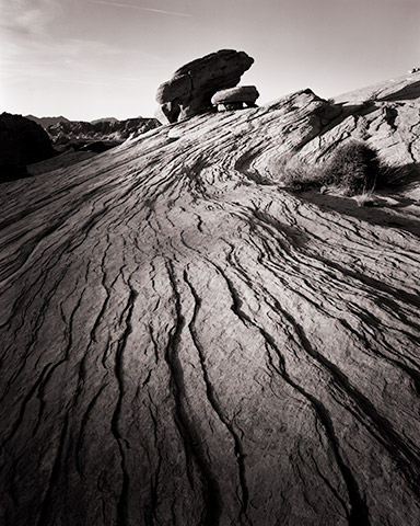 Travis Lovell - Photographer