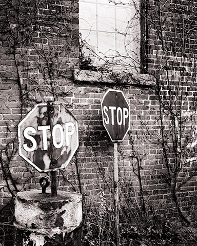 Travis Lovell - Photographer