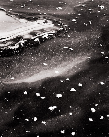 Travis Lovell - Photographer