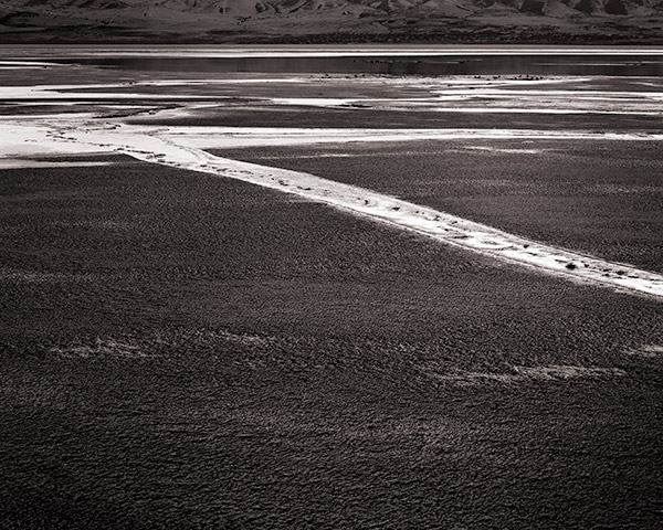 Travis Lovell - Photographer