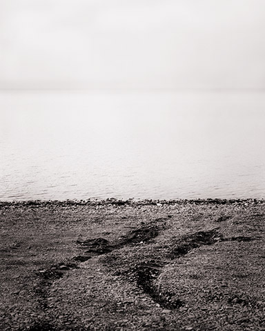 Travis Lovell - Photographer