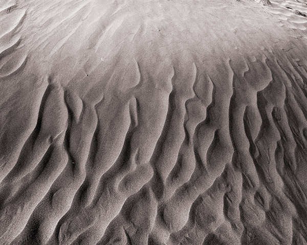 Travis Lovell - Photographer
