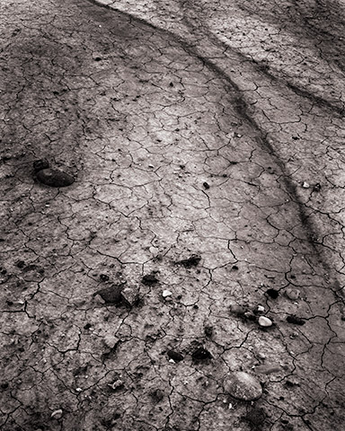 Travis Lovell - Photographer