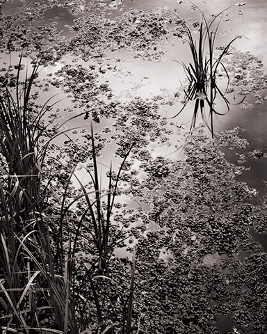 Travis Lovell - Photographer