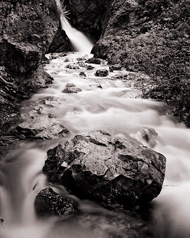 Travis Lovell - Photographer