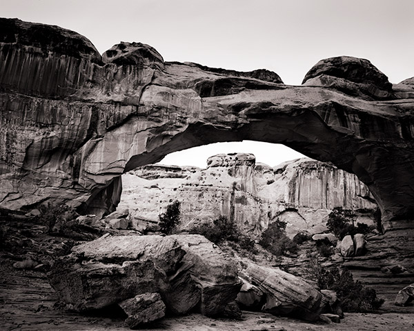 Travis Lovell - Photographer