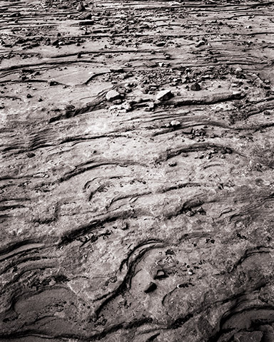 Travis Lovell - Photographer