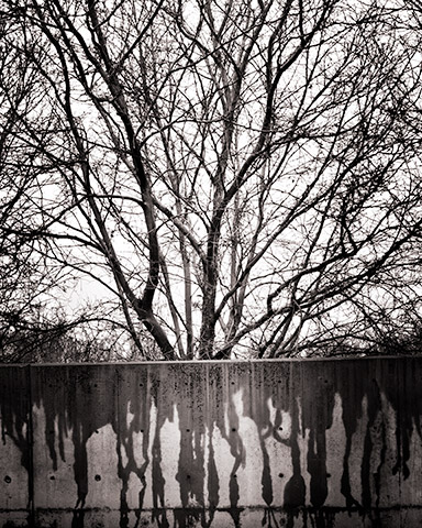 Travis Lovell - Photographer