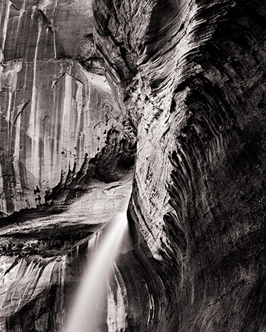 Travis Lovell - Photographer