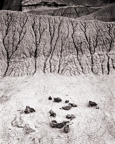 Travis Lovell - Photographer