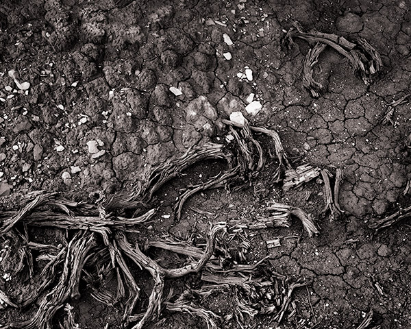 Travis Lovell - Photographer