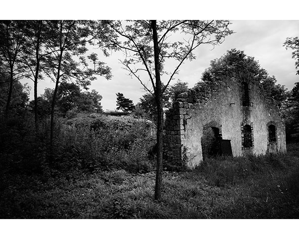 Travis Lovell - Photographer