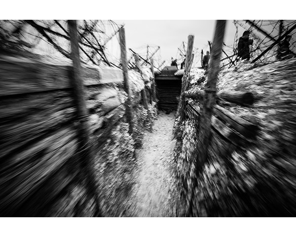 Travis Lovell - Photographer