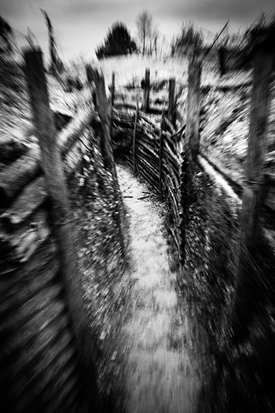Travis Lovell - Photographer