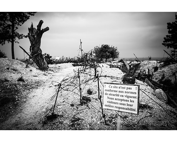 Travis Lovell - Photographer