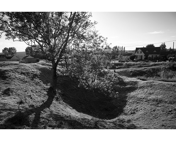 Travis Lovell - Photographer