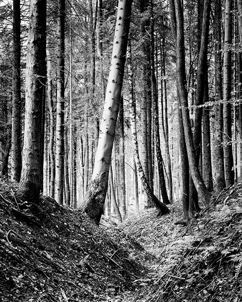 Travis Lovell - Photographer